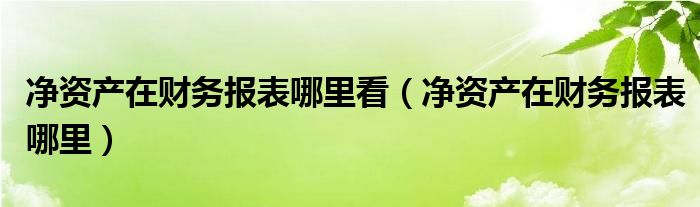 净资产在财务报表哪里(净资产在财务报表哪里看)