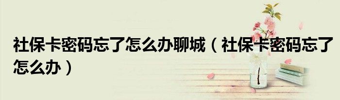 社保卡密码忘了怎么办(社保卡密码忘了怎么办聊城)