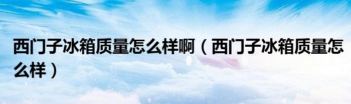 西门子冰箱质量怎么样(西门子冰箱质量怎么样啊)