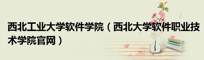 西北大学软件职业技术学院官网(西北工业大学软件学院)