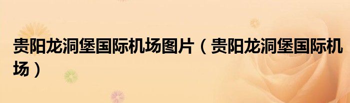 贵阳龙洞堡国际机场(贵阳龙洞堡国际机场图片)