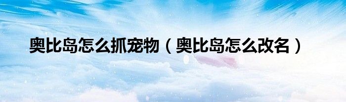 奥比岛怎么改名(奥比岛怎么抓宠物)