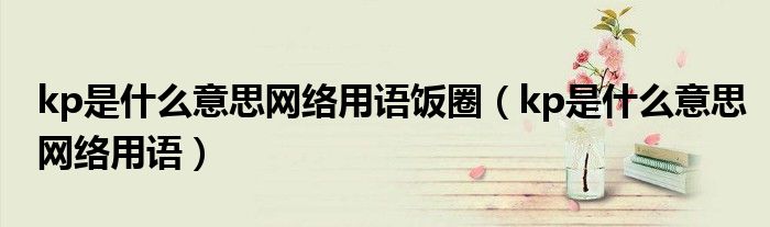 kp是什么意思网络用语(kp是什么意思网络用语饭圈)