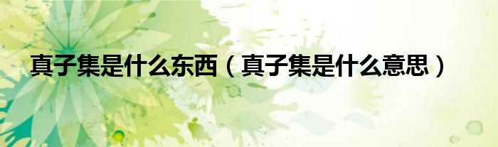 真子集是什么意思(真子集是什么东西)