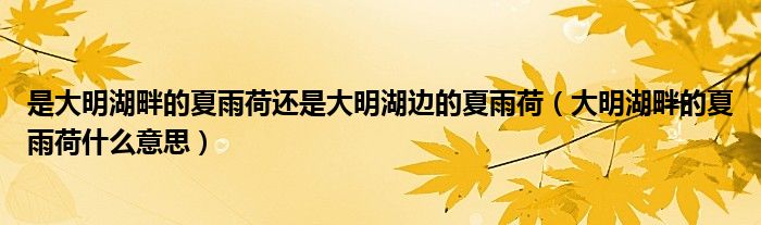 大明湖畔的夏雨荷什么意思(是大明湖畔的夏雨荷还是大明湖边的夏雨荷)