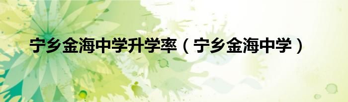 宁乡金海中学(宁乡金海中学升学率)