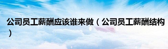 公司员工薪酬结构(公司员工薪酬应该谁来做)