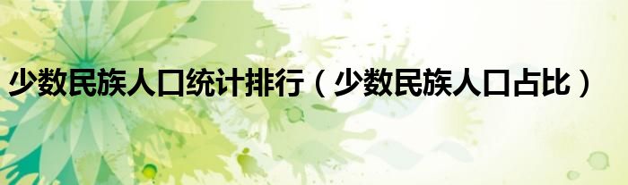 少数民族人口占比(少数民族人口统计排行)