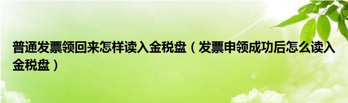 发票申领成功后怎么读入金税盘(普通发票领回来怎样读入金税盘)