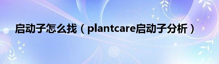 plantcare启动子分析(启动子怎么找)