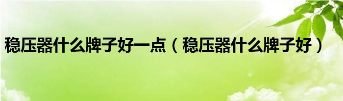 稳压器什么牌子好(稳压器什么牌子好一点)
