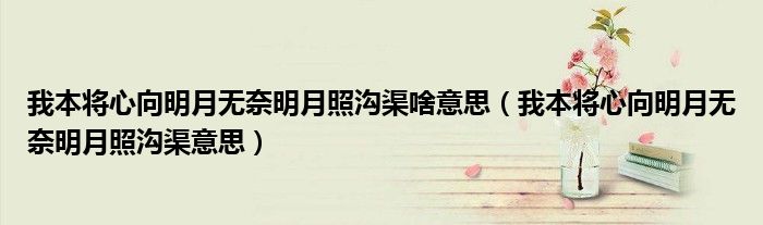 我本将心向明月无奈明月照沟渠意思(我本将心向明月无奈明月照沟渠啥意思)