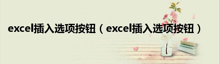 excel插入选项按钮(excel插入选项按钮)