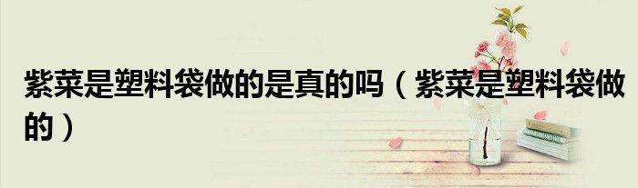 紫菜是塑料袋做的(紫菜是塑料袋做的是真的吗)