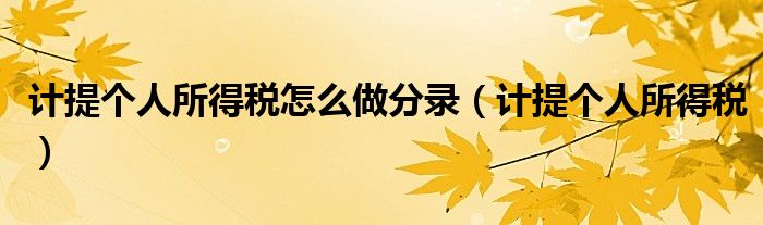 计提个人所得税(计提个人所得税怎么做分录)
