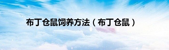 布丁仓鼠(布丁仓鼠饲养方法)