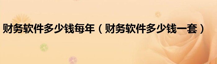 财务软件多少钱一套(财务软件多少钱每年)