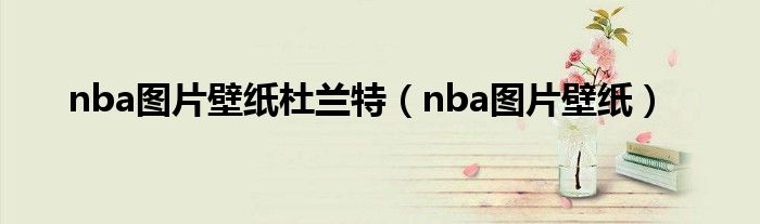 nba图片壁纸(nba图片壁纸杜兰特)