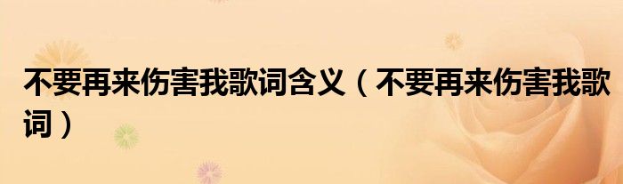 不要再来伤害我歌词(不要再来伤害我歌词含义)