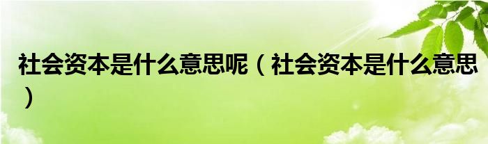 社会资本是什么意思(社会资本是什么意思呢)