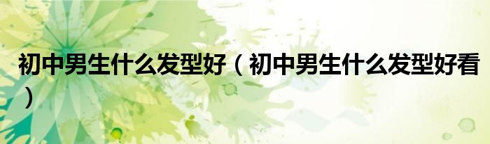 初中男生什么发型好看(初中男生什么发型好)