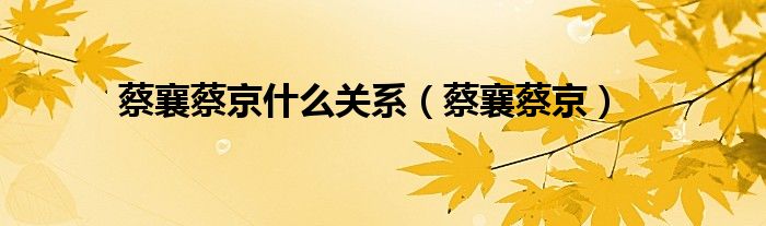 蔡襄蔡京(蔡襄蔡京什么关系)