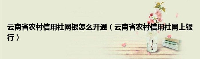 云南省农村信用社网上银行(云南省农村信用社网银怎么开通)