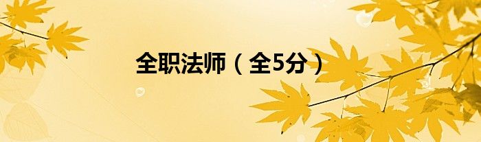 全5分(全职法师)