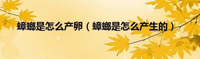 蟑螂是怎么产生的(蟑螂是怎么产卵)
