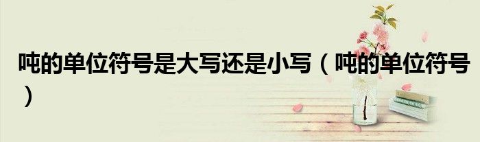 吨的单位符号(吨的单位符号是大写还是小写)
