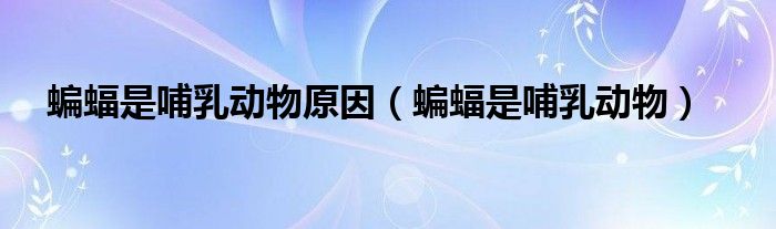 蝙蝠是哺乳动物(蝙蝠是哺乳动物原因)