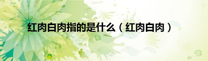 红肉白肉(红肉白肉指的是什么)