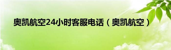 奥凯航空(奥凯航空24小时客服电话)
