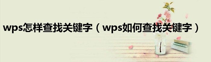 wps如何查找关键字(wps怎样查找关键字)