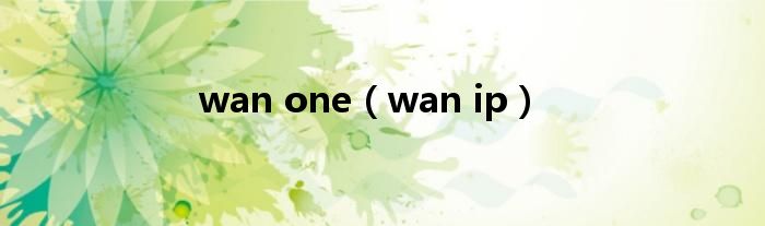 wan ip(wan one)
