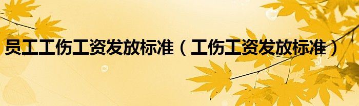 工伤工资发放标准(员工工伤工资发放标准)