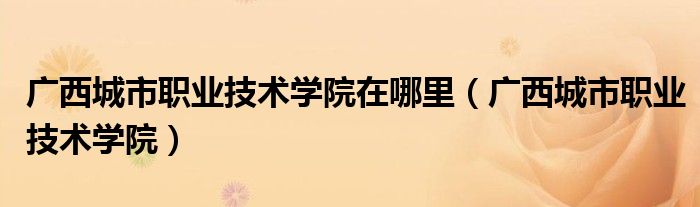 广西城市职业技术学院(广西城市职业技术学院在哪里)