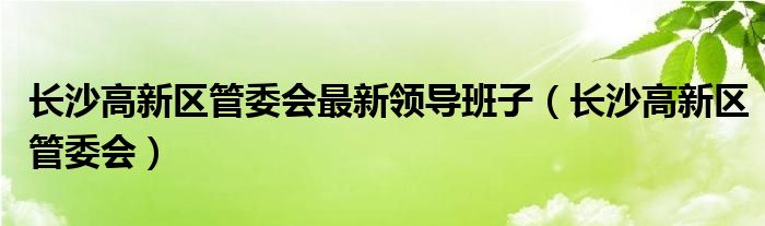 长沙高新区管委会(长沙高新区管委会最新领导班子)
