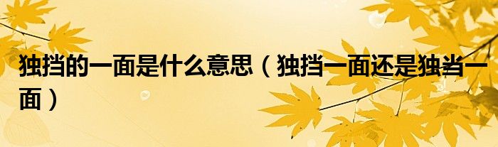独挡一面还是独当一面(独挡的一面是什么意思)