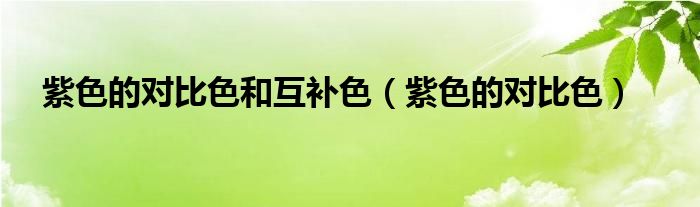 紫色的对比色(紫色的对比色和互补色)