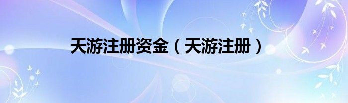 天游注册(天游注册资金)