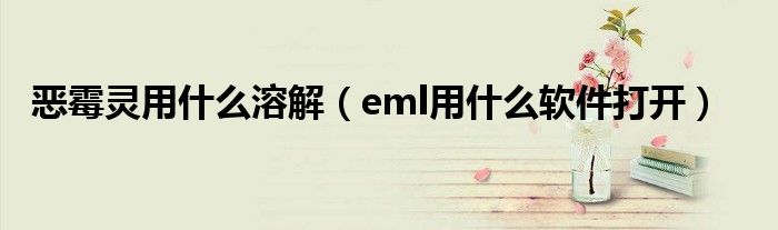 eml用什么软件打开(恶霉灵用什么溶解)