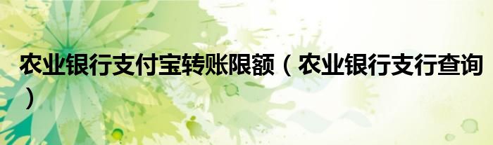 农业银行支行查询(农业银行支付宝转账限额)
