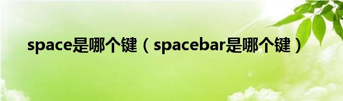 spacebar是哪个键(space是哪个键)
