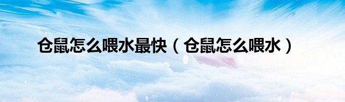 仓鼠怎么喂水(仓鼠怎么喂水最快)