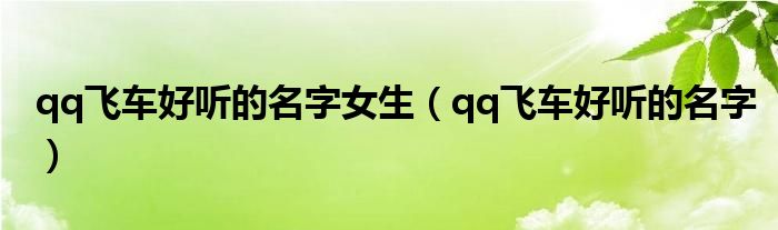qq飞车好听的名字(qq飞车好听的名字女生)