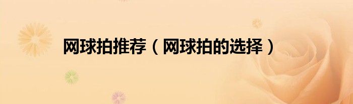 网球拍的选择(网球拍推荐)