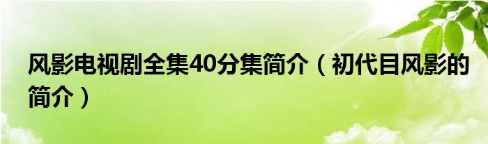 初代目风影的简介(风影电视剧全集40分集简介)