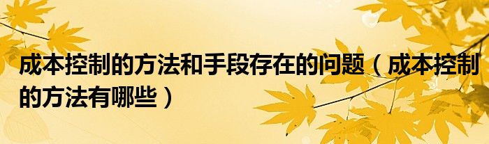 成本控制的方法有哪些(成本控制的方法和手段存在的问题)