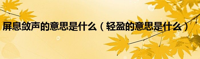 轻盈的意思是什么(屏息敛声的意思是什么)